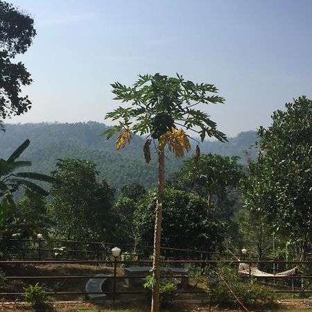 The Lost Hostel, Munnar Exterior foto