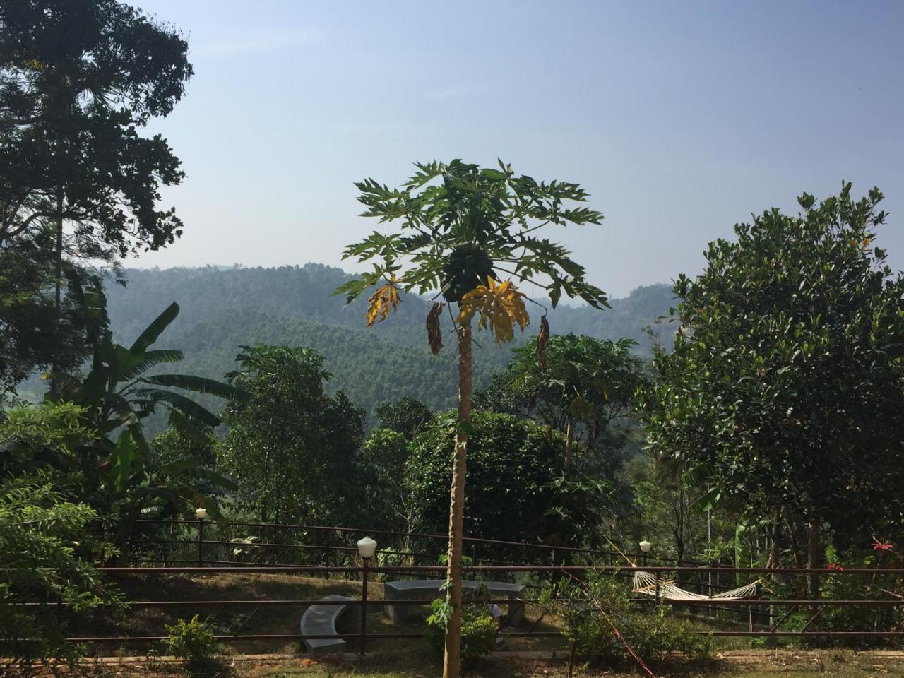 The Lost Hostel, Munnar Exterior foto