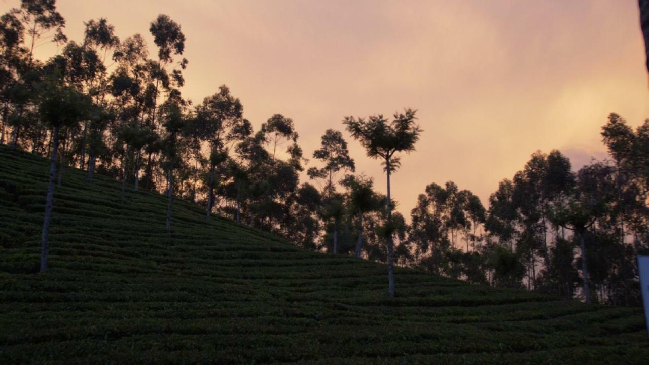 The Lost Hostel, Munnar Exterior foto